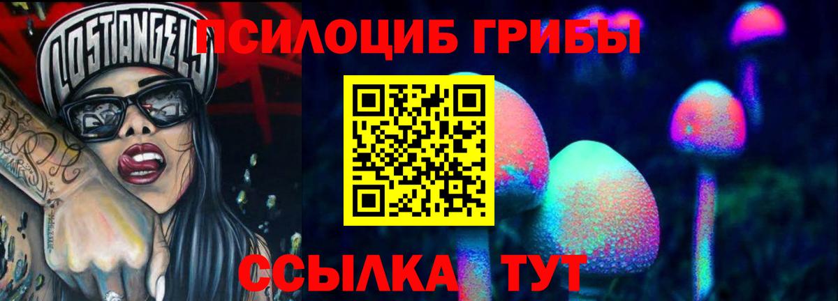 цена наркотик  Псилоцибиновые грибы Magic Shrooms  Минеральные Воды  Вход с VPN  Псилоцибиновые грибы прущие грибы 